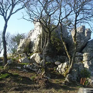 Le Rocher Du Samoyede Dirinon