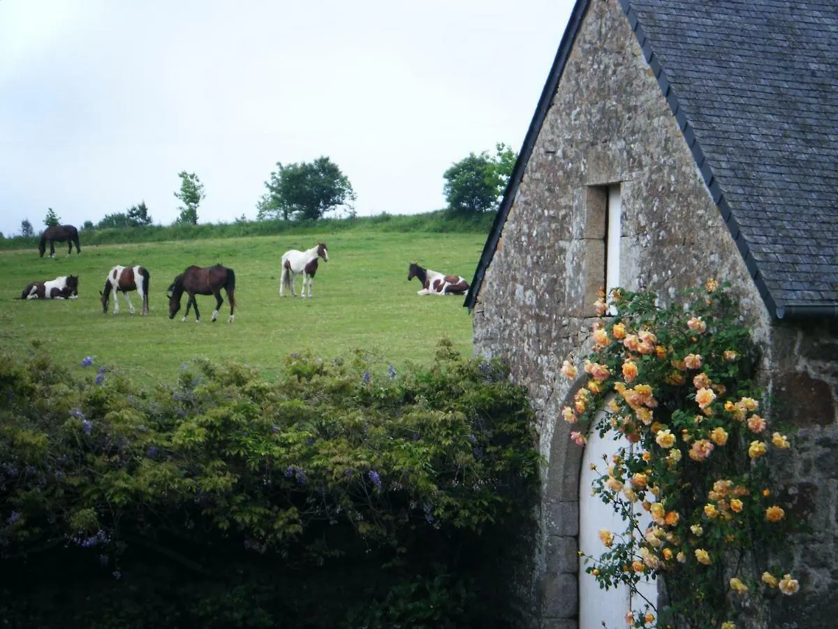Les Chambres Du Manoir De Kerhel Locoal-Mendon Bed & Breakfast